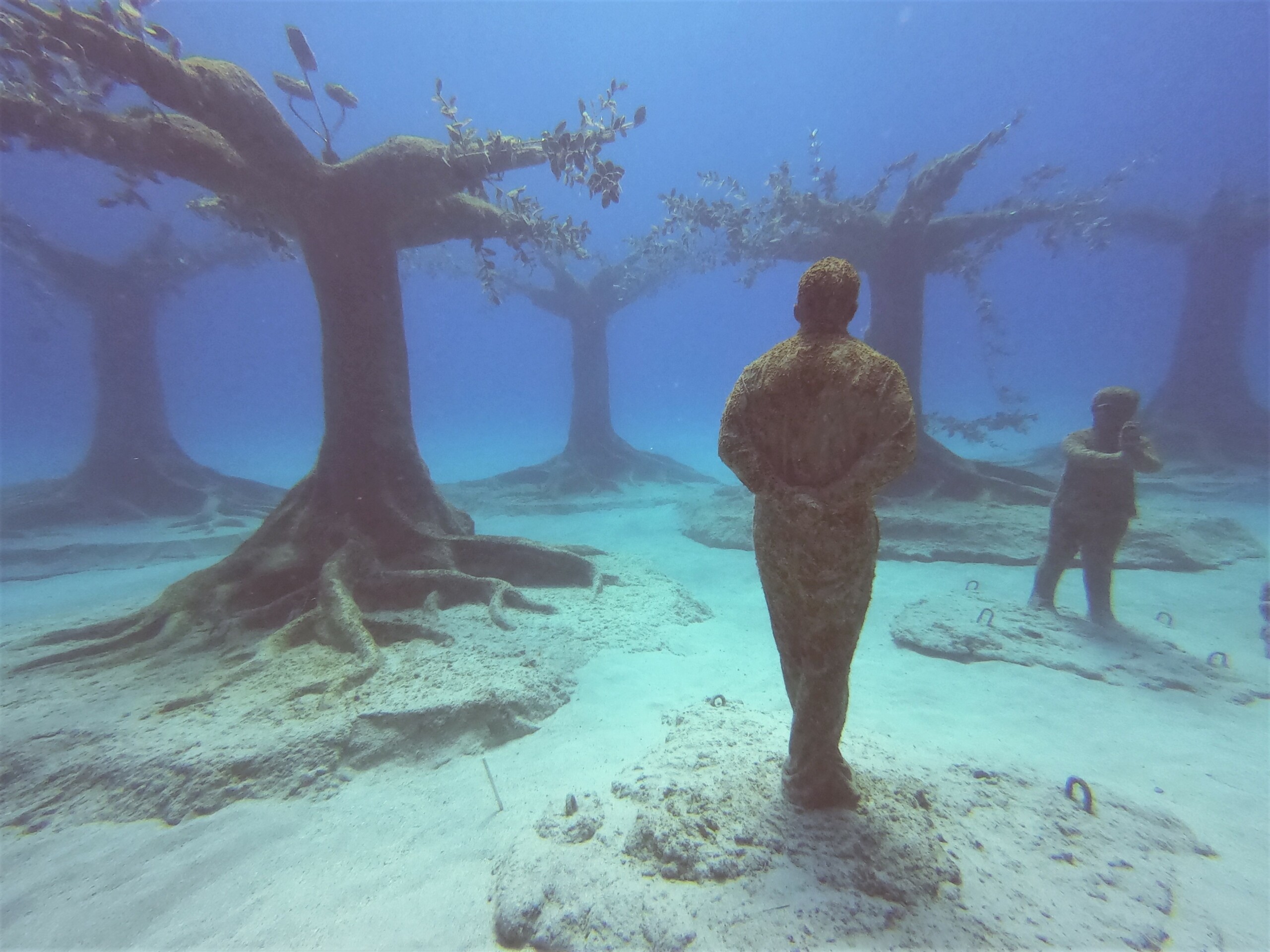 MUSAN for Beginner (2 dives)